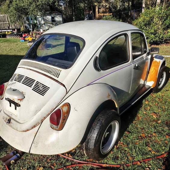 1974 Volkswagen Beetle - Hatchback 2D