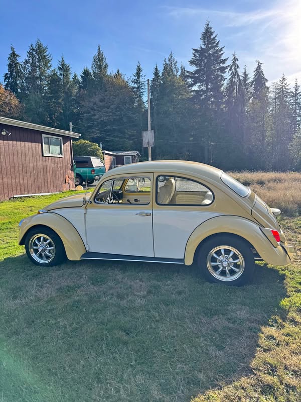 1969 Volkswagen Beetle
