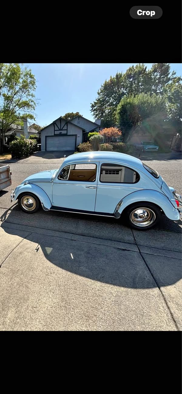 1965 Volkswagen Beetle - The