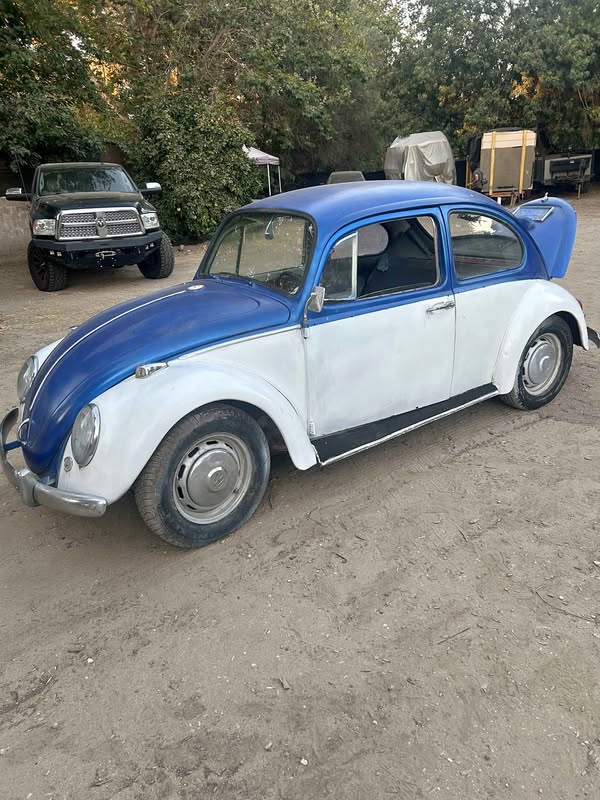 1966 Volkswagen Beetle - Hatchback 2D