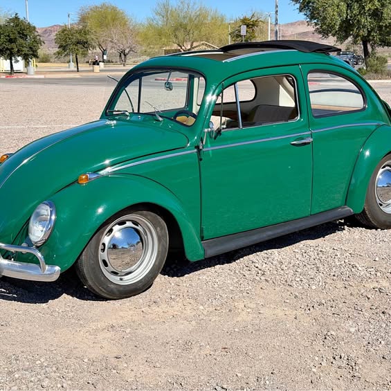 1961 Volkswagen beetle bug - Ragtop
