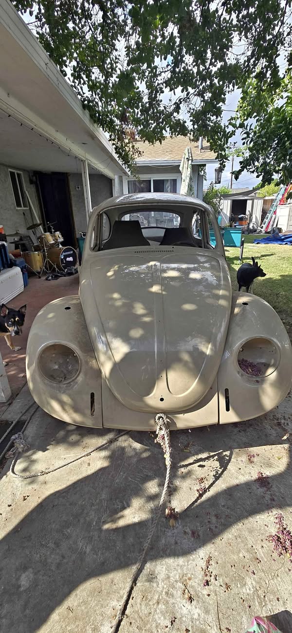 1969 Volkswagen Beetle Hatchback 2D