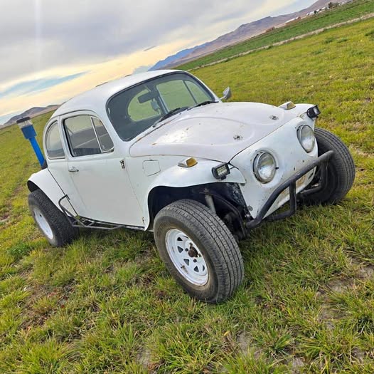 1968 Volkswagen Beetle - 1.8T Classic Hatchback 2D