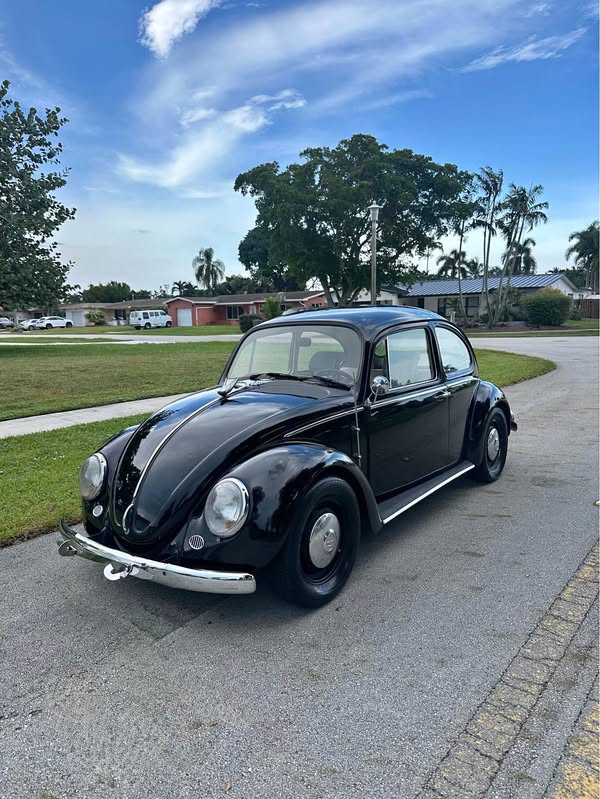 1966 Volkswagen Beetle - 1600