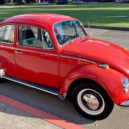 1969 Volkswagen Beetle
