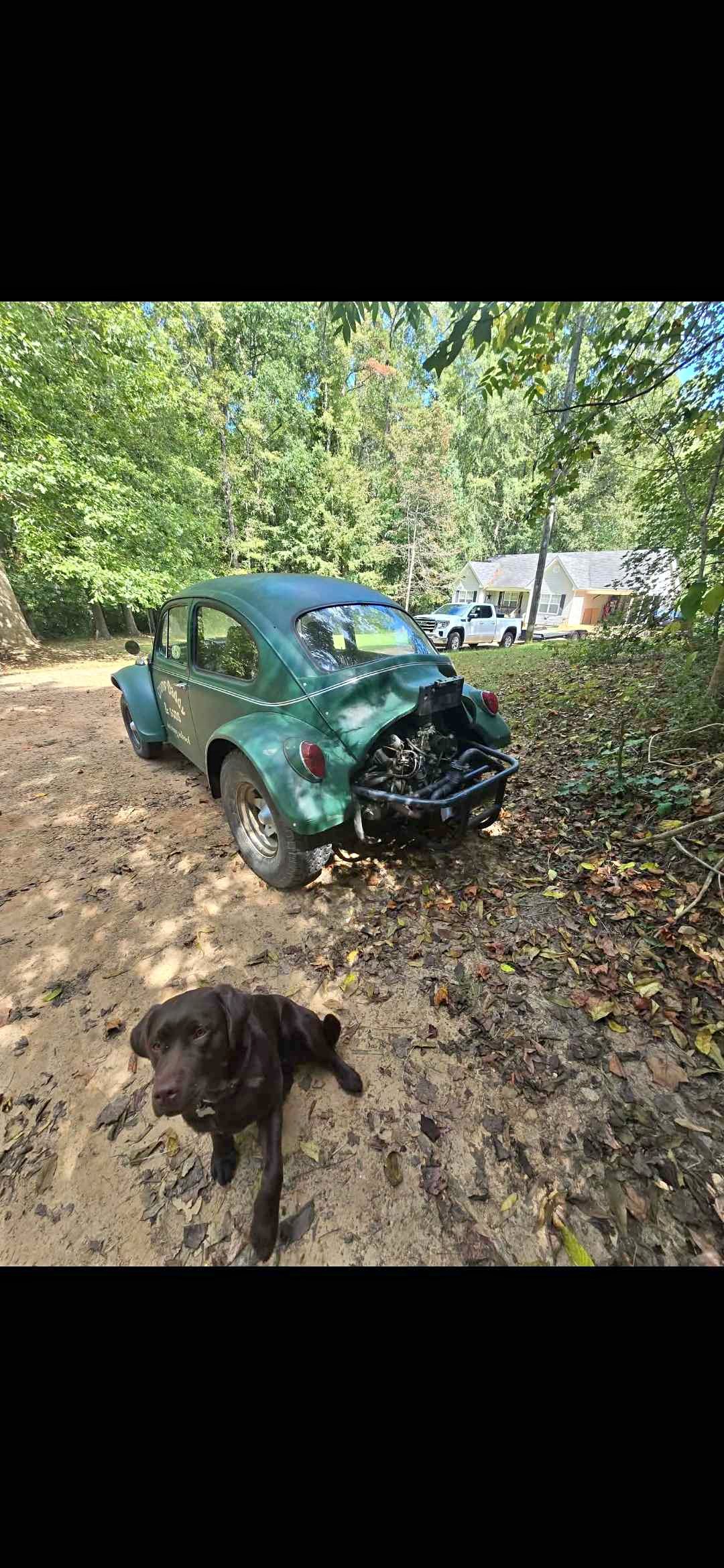 1967 Volkswagen Beetle - Hatchback 2D