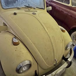 Volkswagen Beetle Convertible 1969 No title