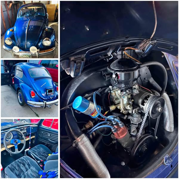1969 Volkswagen Beetle - Otro