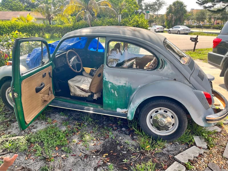 1972 Volkswagen Beetle