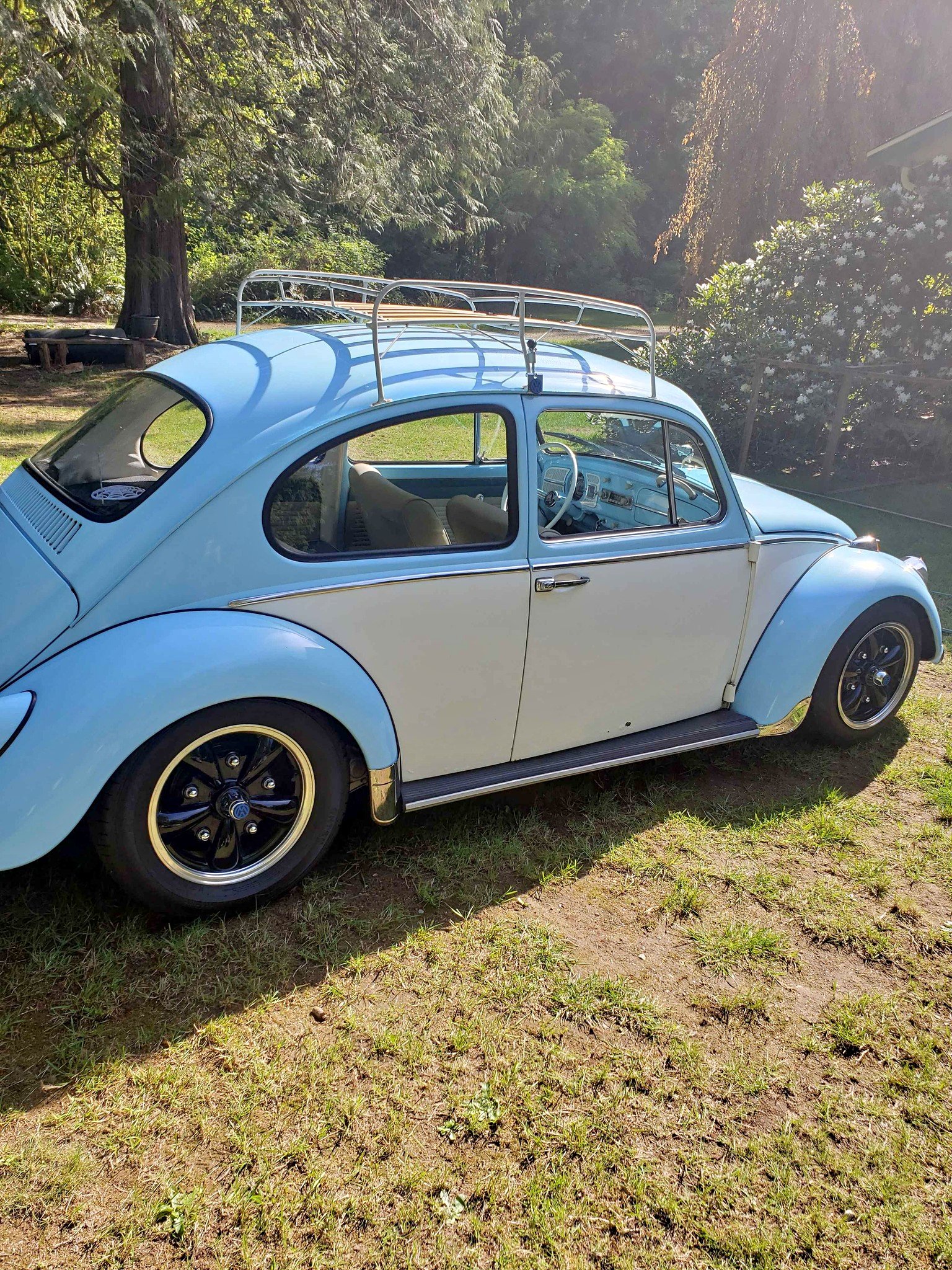 1965 Volkswagen Beetle - 1.8T Classic Hatchback 2D