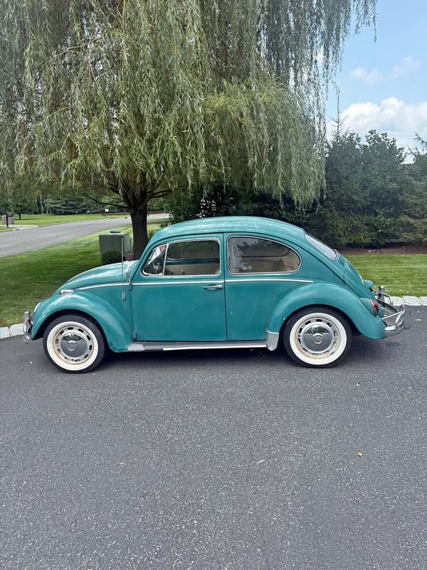 1966 Volkswagen Beetle