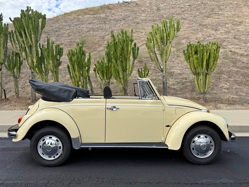 1969 Volkswagen Beetle