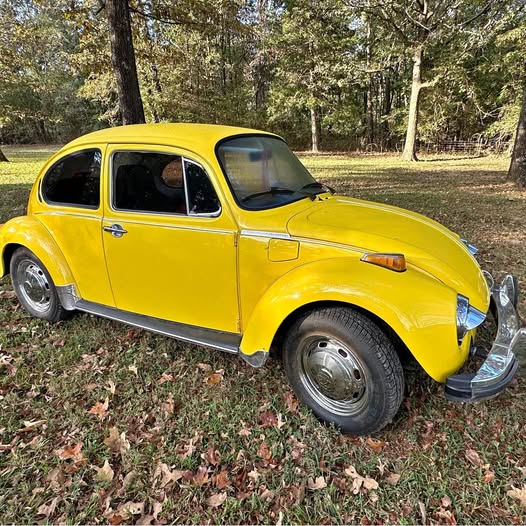 1974 Volkswagen Beetle - 1.8T Classic Hatchback 2D