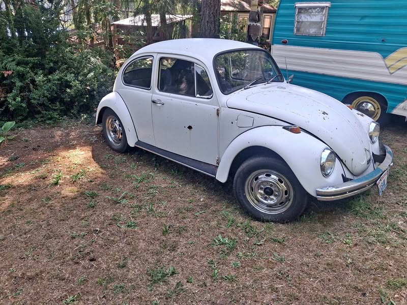 1968 Volkswagen Beetle - 1.8T Classic Hatchback 2D