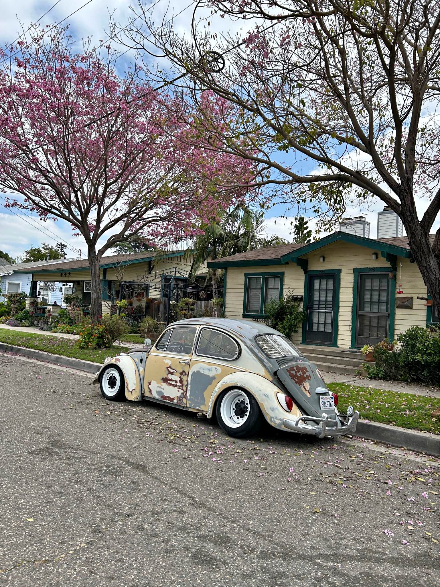 1966 Volkswagen Beetle - Turbo Hatchback 2D