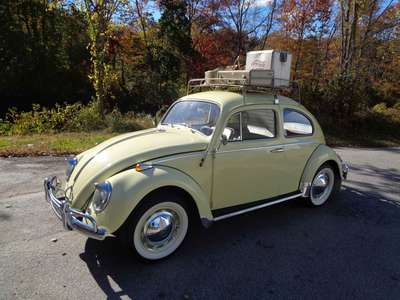 1964 Volkswagen Beetle - 1.8T Classic Hatchback 2D
