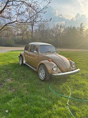 1976 Volkswagen Beetle