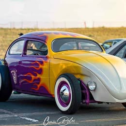 1966 Volkswagen Beetle - #PinkBeetle Hatchback 2D