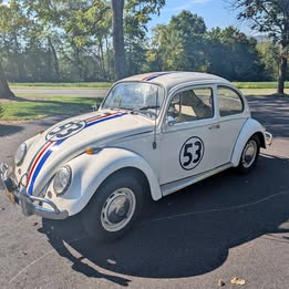 1966 Volkswagen Beetle