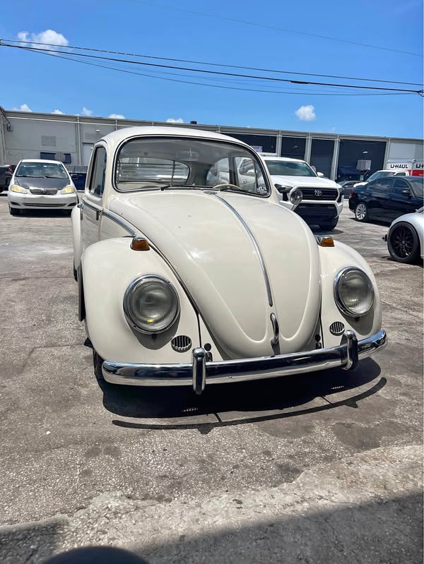 1965 Volkswagen Beetle