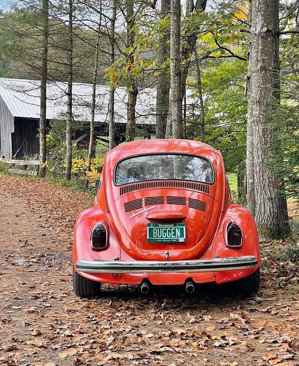 1971 Volkswagen Beetle - Super beetle