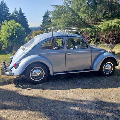 1963 Volkswagen Beetle - Coupe