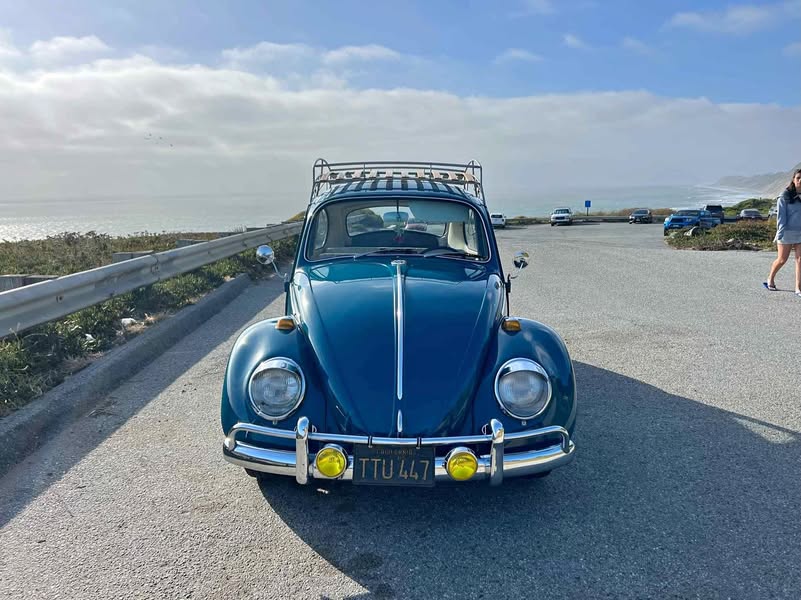 1966 Volkswagen Beetle - 1.8T Classic Convertible 2D