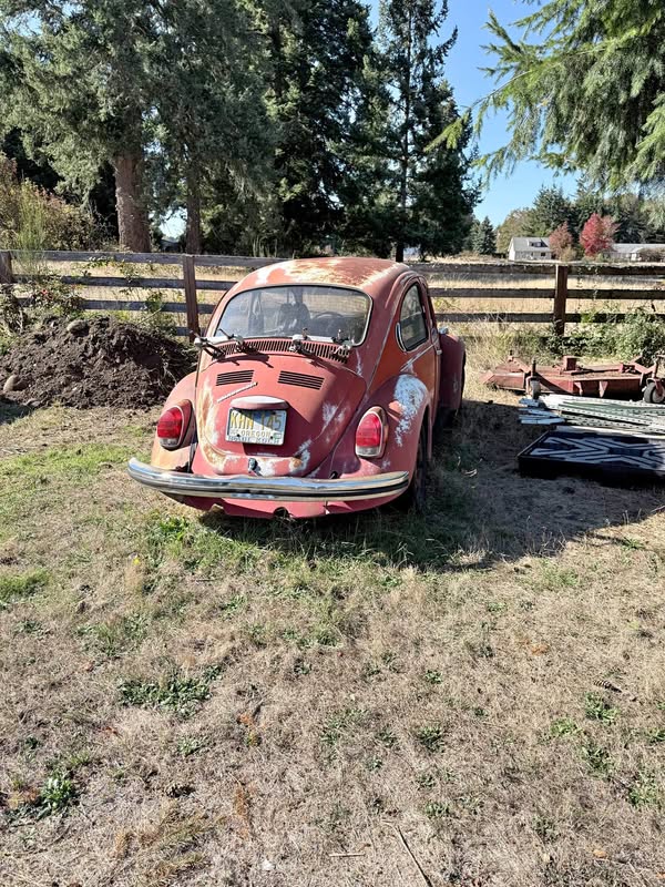1972 Volkswagen Beetle