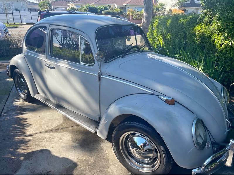 1966 Volkswagen Beetle - Beetle