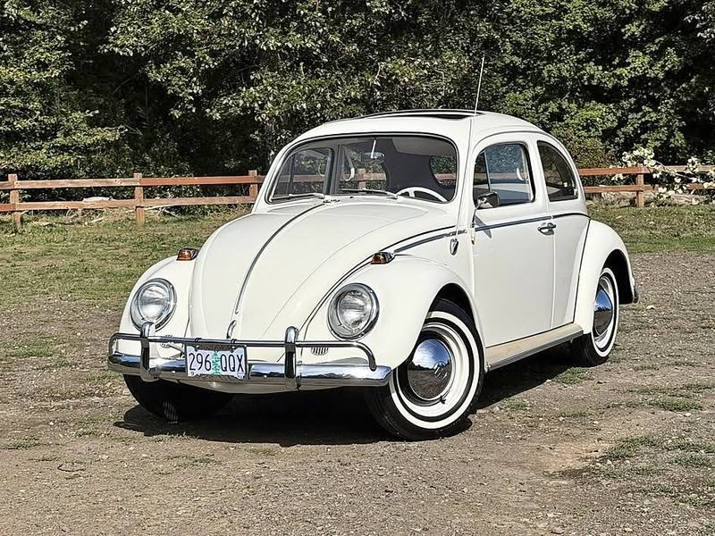 1964 Volkswagen Beetle