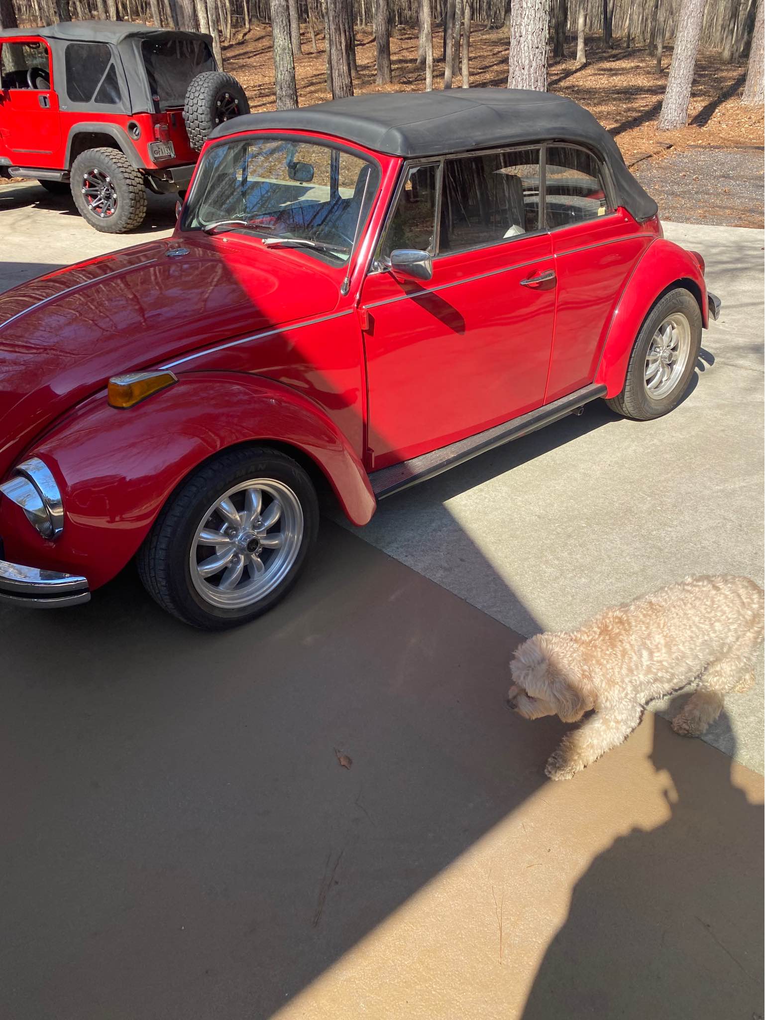 1971 Volkswagen Beetle - 1600cc Dual Port - Auto Shift