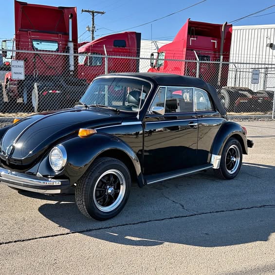 1979 Volkswagen Beetle - Karmann convertible