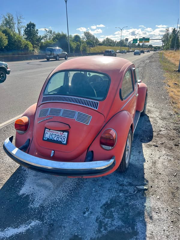 1974 Volkswagen super beetle - 1.7L