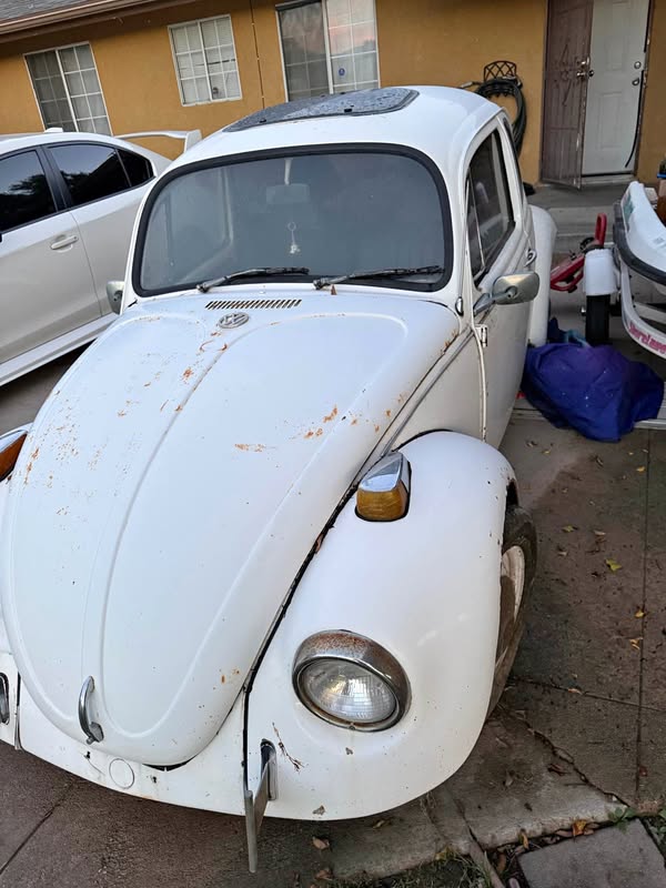 1969 Volkswagen Beetle - 1.8T Classic Hatchback 2D