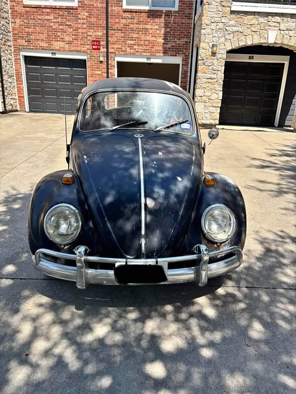 1966 Volkswagen Beetle - Sedan