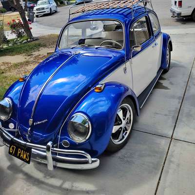 1967 Volkswagen Beetle - R-Line SE Hatchback 2D