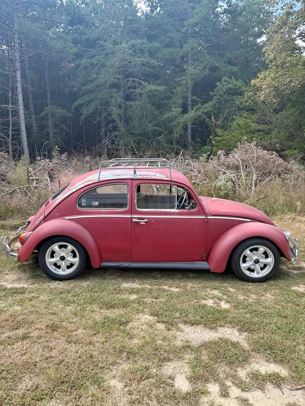 1964 Volkswagen Beetle