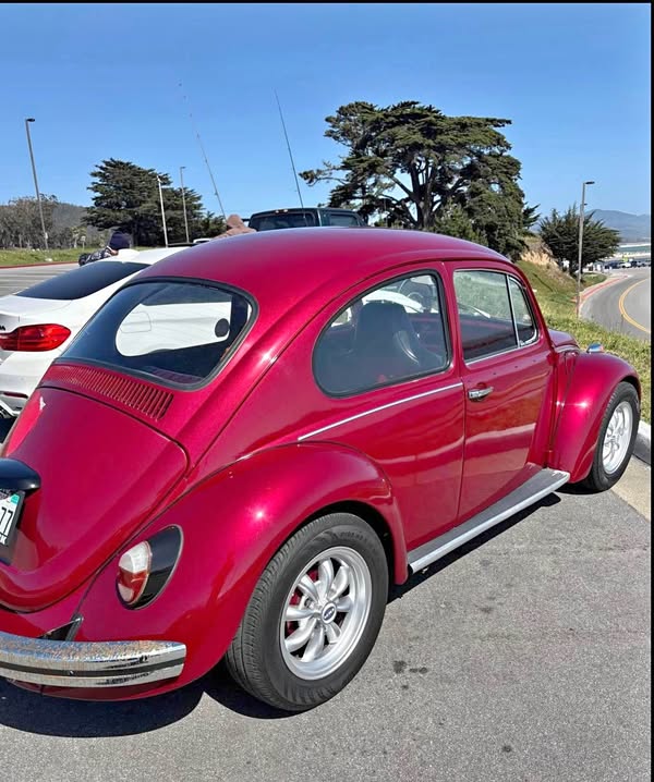 1969 Volkswagen Beetle