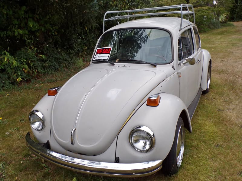 1973 Volkswagen super beetle