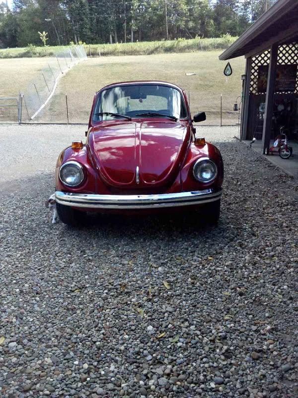 1973 Volkswagen Beetle - 1.8T Hatchback 2D