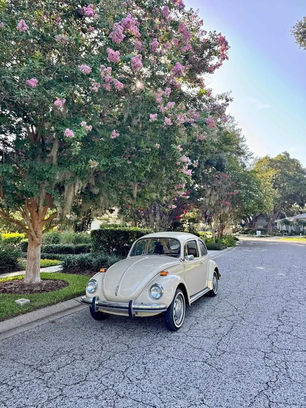 1971 Volkswagen Beetle - Hatchback 2D