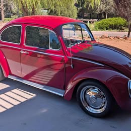 1966 Volkswagen Beetle - 1.8T Hatchback 2D