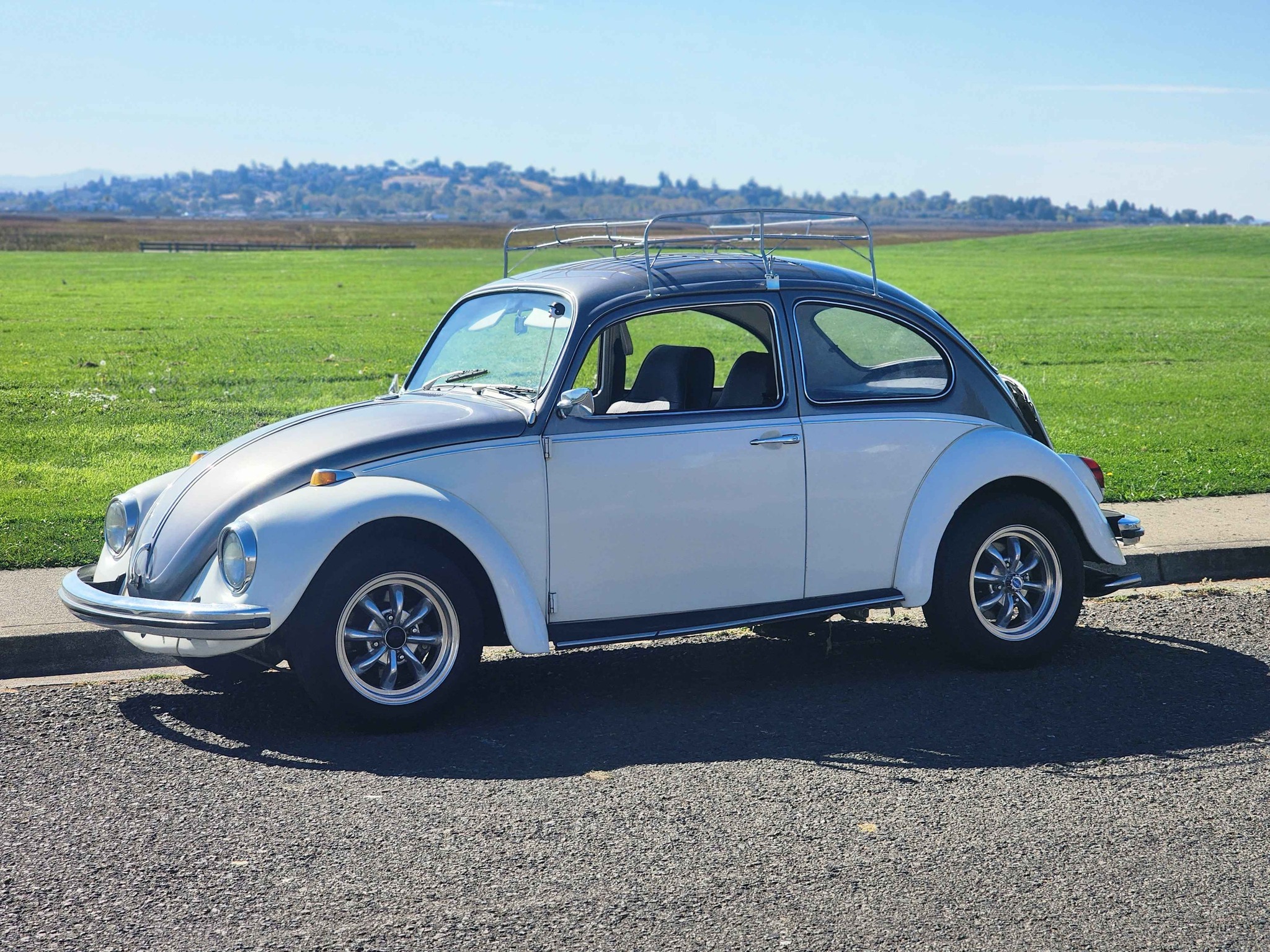 1969 Volkswagen Beetle - Hatchback 2D