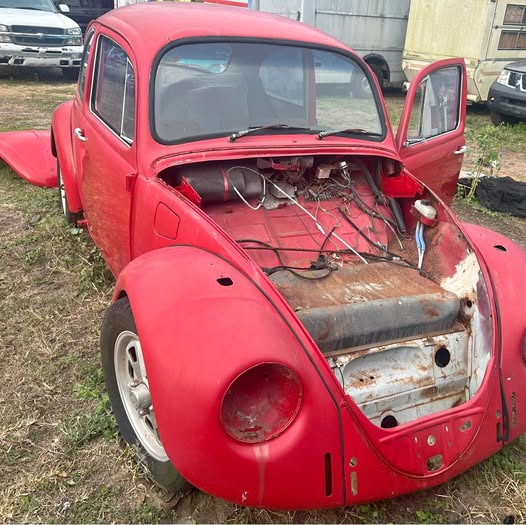 1969 Volkswagen Beetle - #PinkBeetle Hatchback 2D