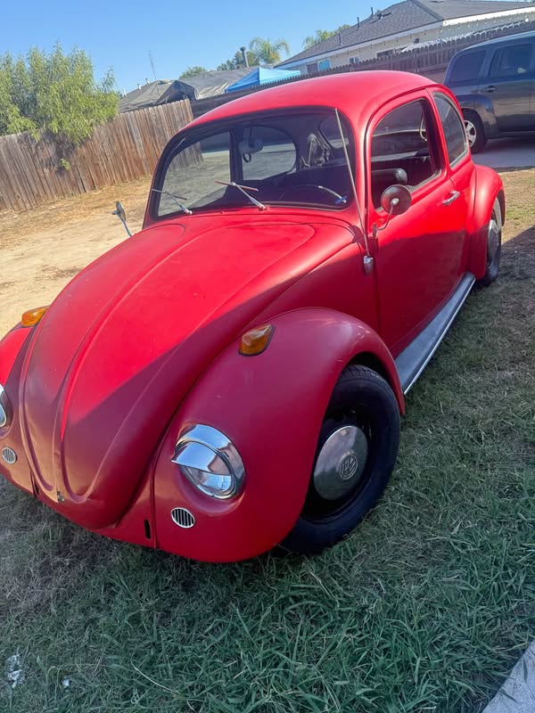 1964 Volkswagen Beetle - Hatchback 2D