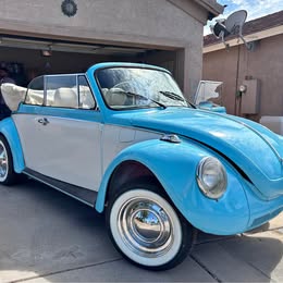 1979 Volkswagen Beetle - New