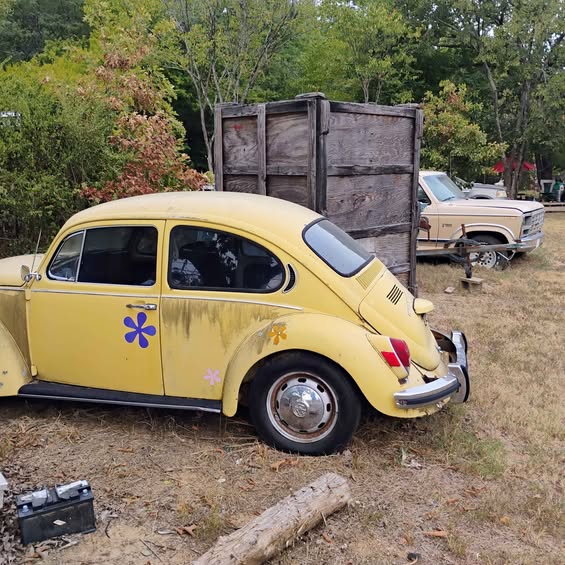 1972 Volkswagen Beetle - 2.0T S Hatchback 2D