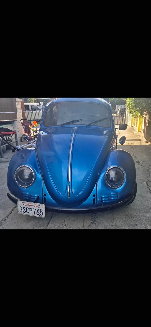 1973 Volkswagen Beetle