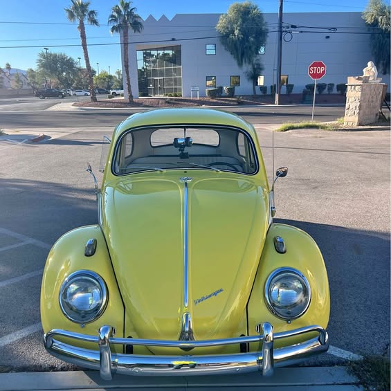 1961 1961 Volkswagen Beetle