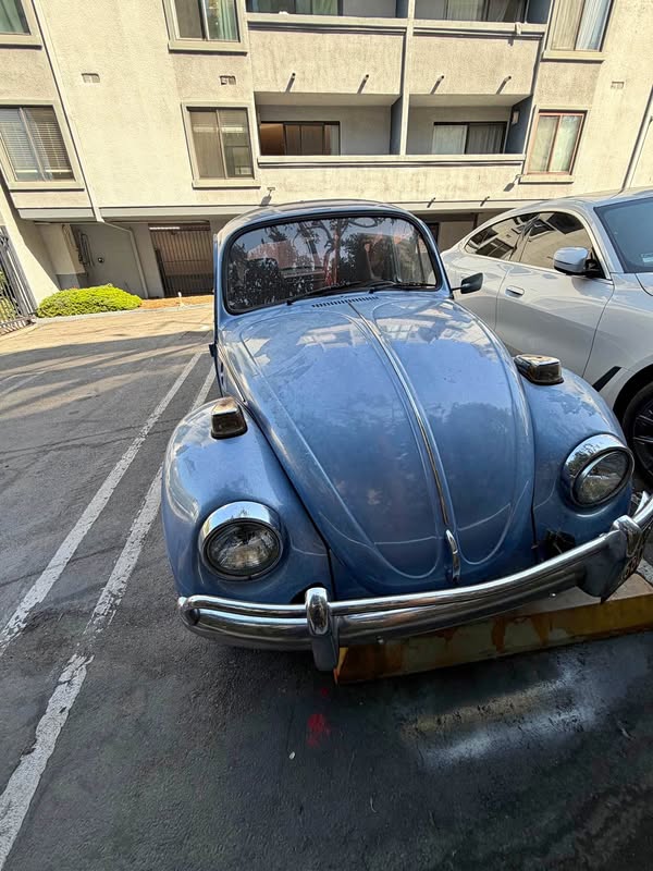 1974 Volkswagen Beetle - #PinkBeetle Hatchback 2D